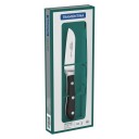 Нож для овощей и фруктов 3" 24150/003 (Tramontina ProChef)
